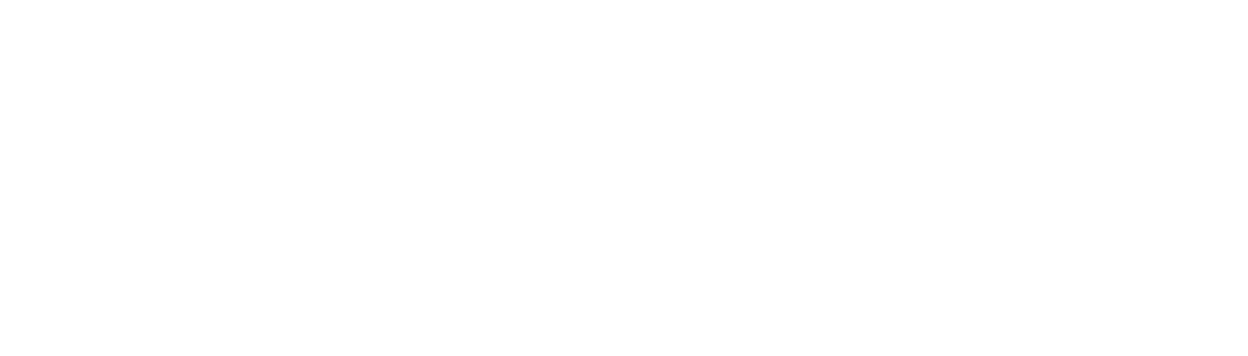 Reliance Digital